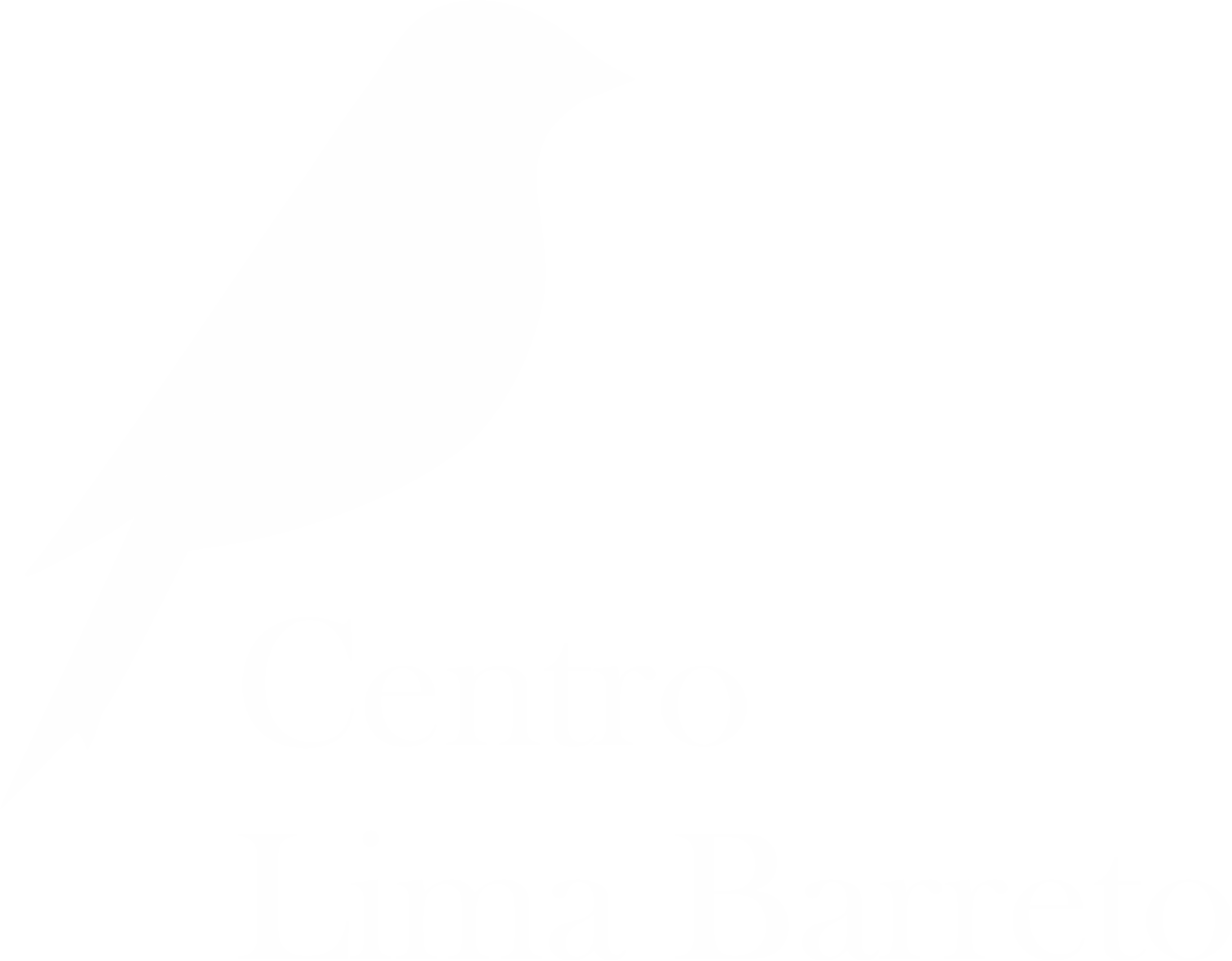 Centro Lima Barreto